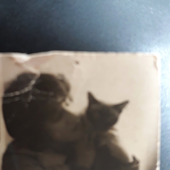 Original signed Watercolor. "Puss", Siamese cat. Pet Portrait. - Picture 7 of 9